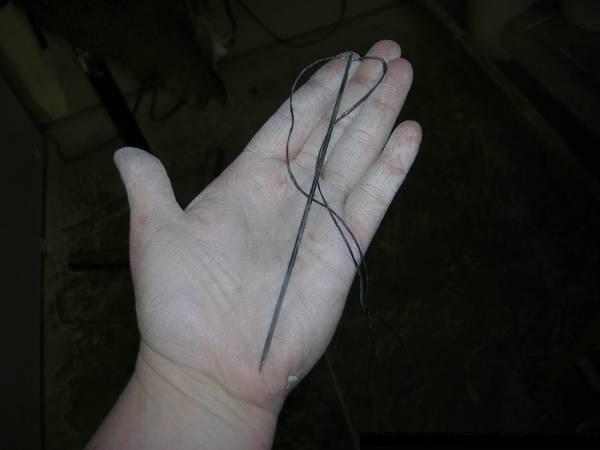 Needle