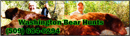 Bearpaw Outfitters, Quality Hunts for over 30 Years