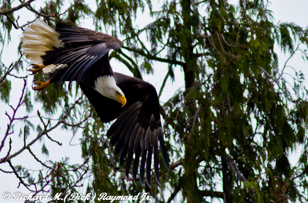 January 2012 Photo of the Month by grandparichard