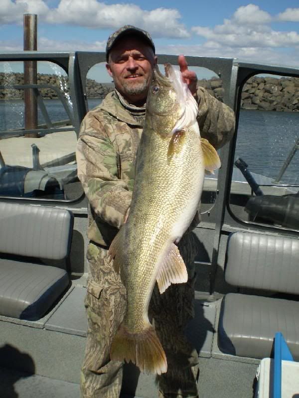 Possible New State Record Walleye Caught